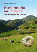 bokomslag Fossiliensuche im Tafeljura