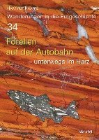 Forellen auf der Autobahn 1