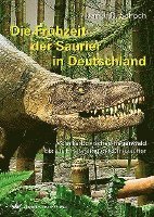bokomslag Die Frühzeit der Saurier in Deutschland