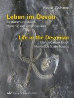 Leben im Devon 1