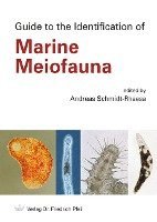 bokomslag Guide to the Identification of Marine Meiofauna