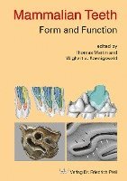 bokomslag Mammalian Teeth - Form and Function
