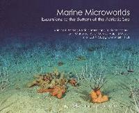 bokomslag Marine Microworlds