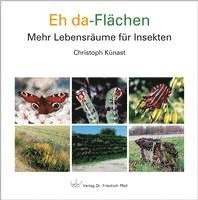 bokomslag Eh da-Flächen