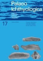 bokomslag The genus Heterodontus in the Early Paleogene of the North Sea Basin and the Landes, France