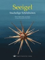 Hans-Volker Thiel, Luis Pauly, Georg Oleschinski, Jes Rust - Seeigel - Stachelige Schönheiten, Inbunden