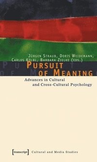 bokomslag Pursuit of Meaning  Advances in Cultural and CrossCultural Psychology