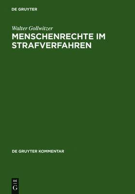 Menschenrechte im Strafverfahren 1