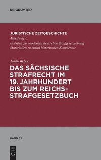 bokomslag Das Schsische Strafrecht Im 19. Jahrhundert Bis Zum Reichsstrafgesetzbuch