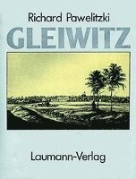 bokomslag Gleiwitz