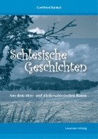 bokomslag Schlesische Geschichten