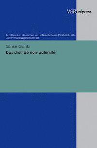 bokomslag Schriften zum deutschen und internationalen PersAnlichkeits- und ImmaterialgA"terrecht.