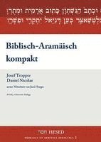 bokomslag Biblisch-Aramäisch kompakt