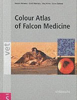 bokomslag Colour Atlas of Falcon Medicine