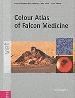 Colour Atlas of Falcon Medicine 1