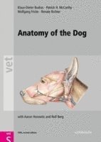 bokomslag Anatomy of the Dog: An Illustrated Text, 5th Edition