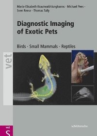 bokomslag Diagnostic Imaging Exotic Pets