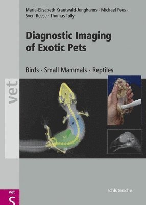 bokomslag Diagnostic Imaging Exotic Pets