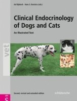 bokomslag Clinical Endocrinology of Dogs and Cats