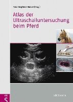bokomslag Atlas der Ultraschalluntersuchung beim Pferd