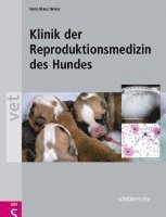 bokomslag Klinik der Reproduktionsmedizin des Hundes