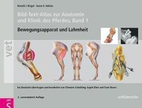 bokomslag Bild-Text-Atlas zur Anatomie und Klinik des Pferdes