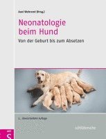 bokomslag Neonatologie beim Hund