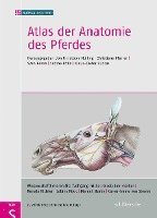 bokomslag Atlas der Anatomie des Pferdes