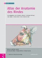 bokomslag Atlas der Anatomie des Rindes