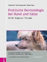 bokomslag Praktische Dermatologie bei Hund und Katze