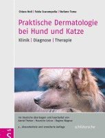 bokomslag Praktische Dermatologie bei Hund und Katze