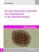 bokomslag Die koproskopische Diagnostik von Endoparasiten in der Veterinärmedizin
