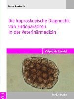 Die koproskopische Diagnostik von Endoparasiten in der Veterinärmedizin 1