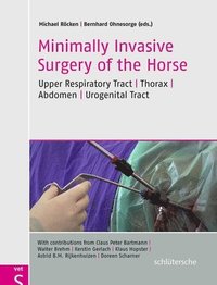 bokomslag Minimally Invasive Surgery of the Horse
