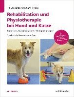 bokomslag Rehabilitation und Physiotherapie bei Hund und Katze