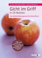 bokomslag Gicht im Griff in 10 Wochen