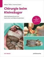 bokomslag Chirurgie beim Kleinsäuger