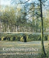 bokomslag Großsteingräber zwischen Weser und Ems