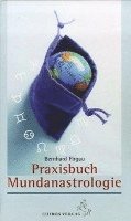 bokomslag Praxisbuch Mundanastrologie