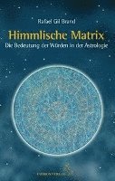 bokomslag Himmlische Matrix