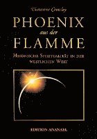 bokomslag Phoenix aus der Flamme
