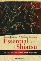 bokomslag Essential Shiatsu