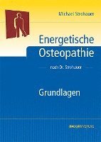 bokomslag Energetische Osteopathie