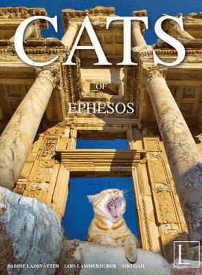 Cats of Ephesos 1