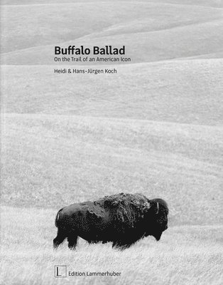 bokomslag Buffalo Ballad: On the Trail of an American Icon