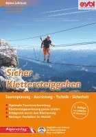 bokomslag Sicher Klettersteiggehen