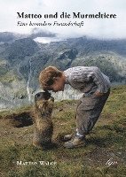 bokomslag Matteo und die Murmeltiere