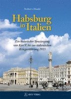 bokomslag Habsburg in Italien