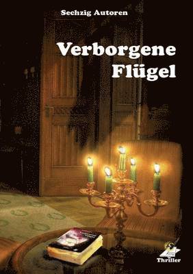 Karin Pfolz - Verborgene Flügel, Häftad