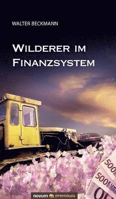 bokomslag Wilderer im Finanzsystem